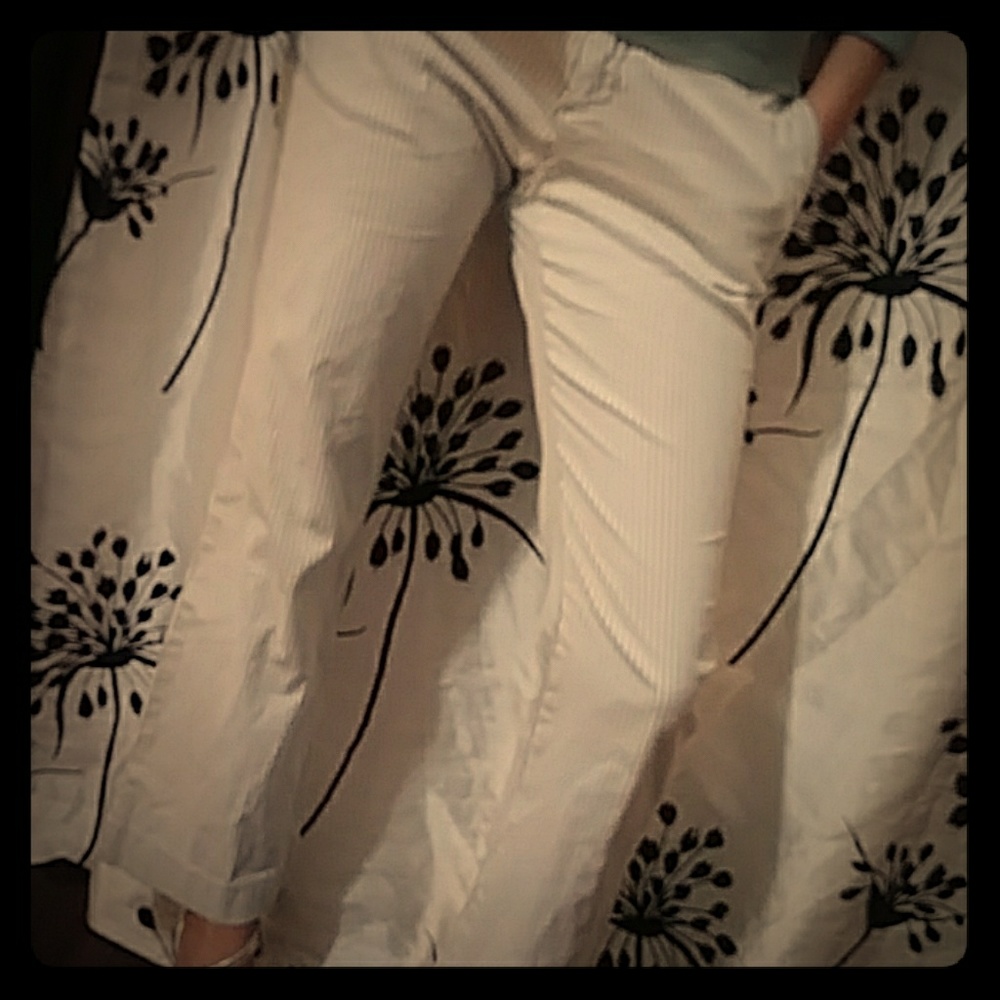 Dress pants